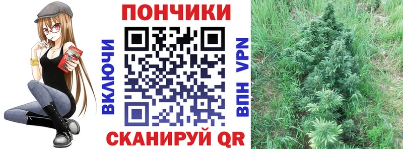 Виды наркотиков купить Балашиха Гашиш  Cocaine  Меф мяу мяу 