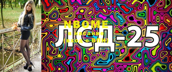 ешки Вяземский