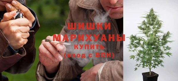 ешки Вяземский
