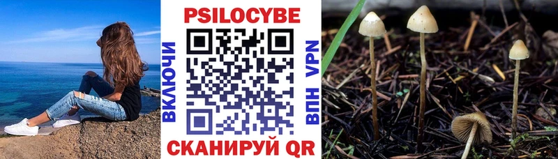 цена   hydra сайт  Галлюциногенные грибы Cubensis  Балашиха 