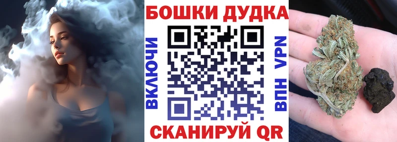 даркнет телеграм  Балашиха  Бошки Шишки индика  гидра ССЫЛКА 